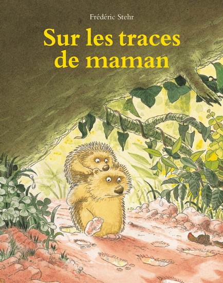 Sur les traces de maman - FRÉDÉRIC STEHR