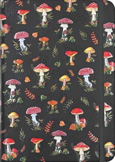Petit journal Champignons