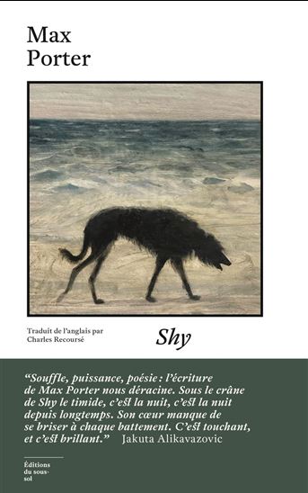 Shy - MAX PORTER