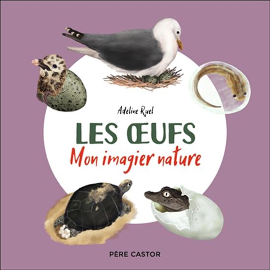 Les Oeufs - ADELINE RUEL