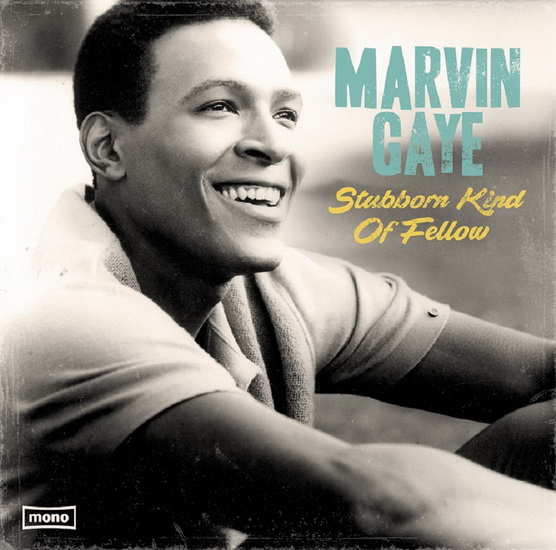 Stubborn Kind Of Fellow (Vinyle) - MARVIN GAYE