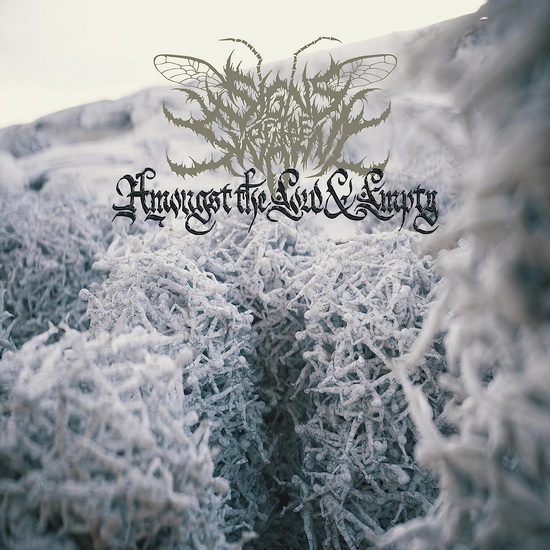 Amongst The Low & Empty (Standard CD Jewelcase) - SIGNS OF THE SWARM