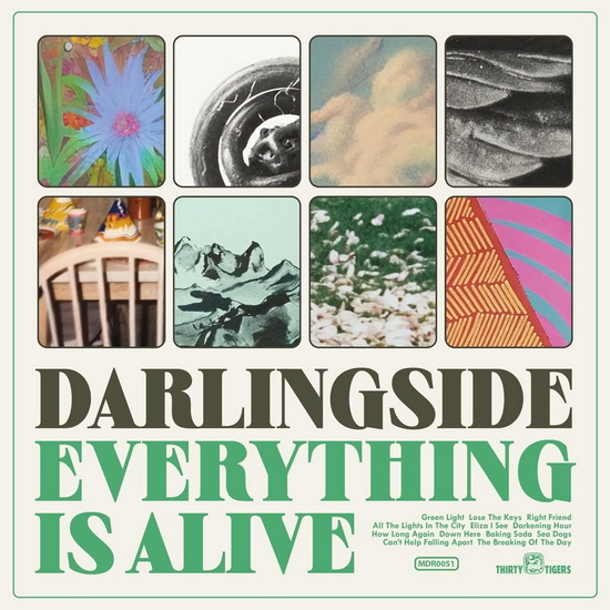 Everything Is Alive - DARLINGSIDE