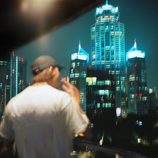 Les Galeries (Vinyle) - ROMEO ELVIS