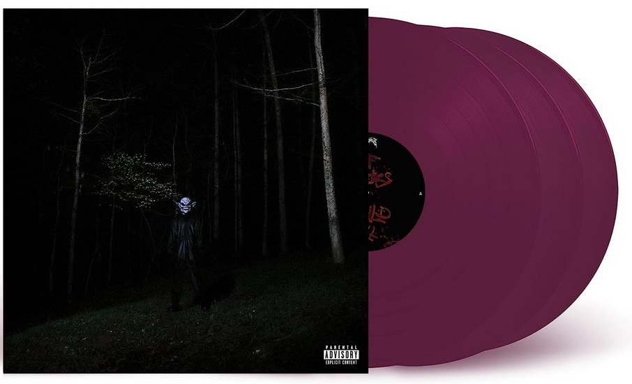 If Looks Could Kill (Vinyle) - DESTROY LONELY