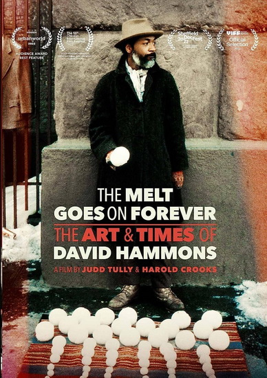 The Melt Goes on Forever : Art & Times of David Hammons (The) - JUDD HAROLD  TULLY CROOKS