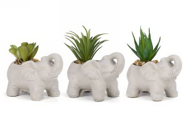 Plante en pot éléphant 3AS