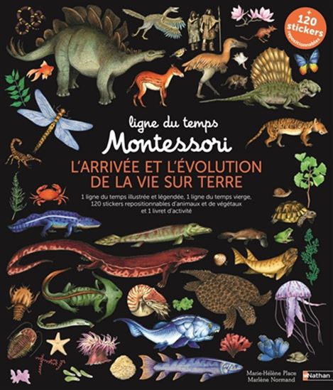 Ligne du temps Montessori : l'arrivée et l'évolution de la vie sur terre - MARIE-HÉLÈNE PLACE - MARLÈNE NORMAND