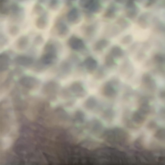 Ourselves, As We Are - CARLOS CIPA