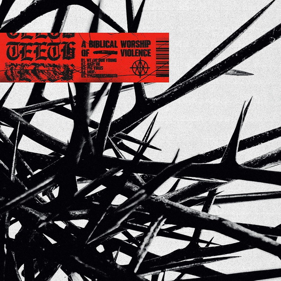 A Biblical Worship Of Violence (Vinyle) - TEETH