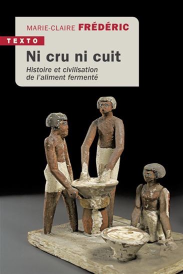 Ni cru ni cuit : histoire et civilisation de l&#39;aliment fermenté - MARIE-CLAIRE FRÉDÉRIC
