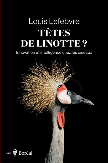 Têtes de linotte : innovation et intelligence chez les oiseaux - LOUIS LEFEBVRE