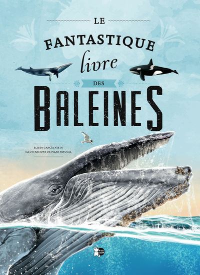 Le Fantastique livre des baleines - COLLECTIF