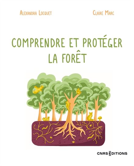 Tout comprendre (ou presque) sur les forêts - ALEXANDRA LOCQUET - CLAIRE MARC