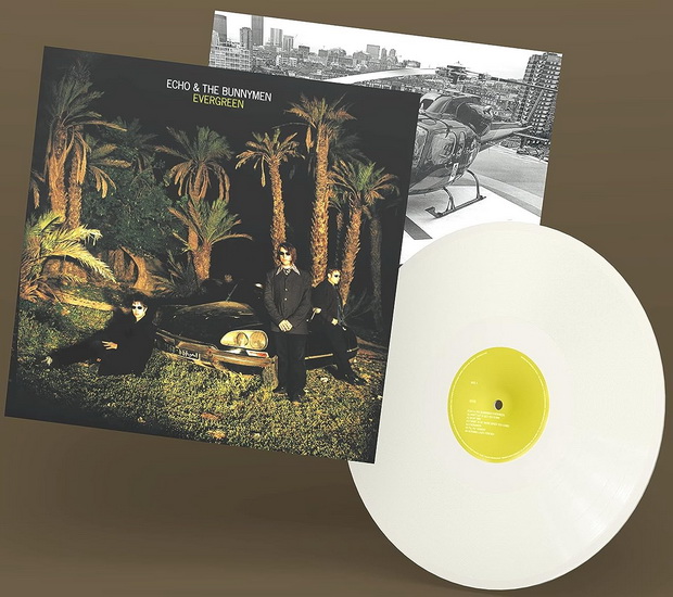 Evergreen (25 Year Anniversary Ed.) (Vinyle - Blanc) - ECHO & THE BUNNYMEN