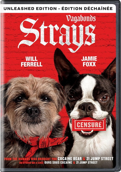 Strays - JOSH GREENBAUM