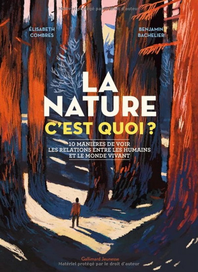 La Nature, c&#39;est quoi ? : 10 manières de voir les relations entre les humains et le monde vivant - ELISABETH COMBRES - BENJAMIN BACHELIER