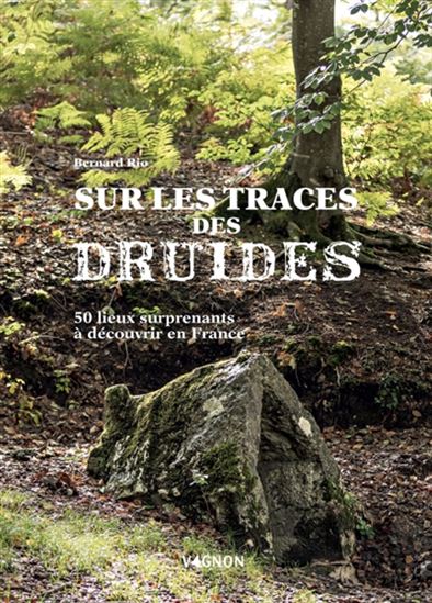 Sur la trace des druides : 50 lieux surprenants à découvrir en France - BERNARD RIO