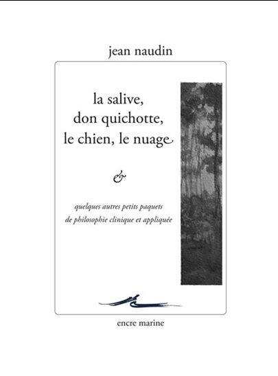 La Salive, Don Quichotte, le chien, le nuage... : et quelques autres petits paquets de philosophie clinique et appliquée - JEAN NAUDIN