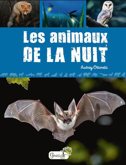 Les Animaux de nuit - AUDREY OTTONELLI