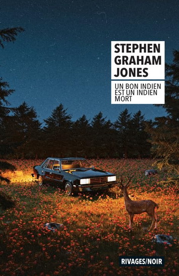 Un bon Indien est un Indien mort - STEPHEN GRAHAM JONES