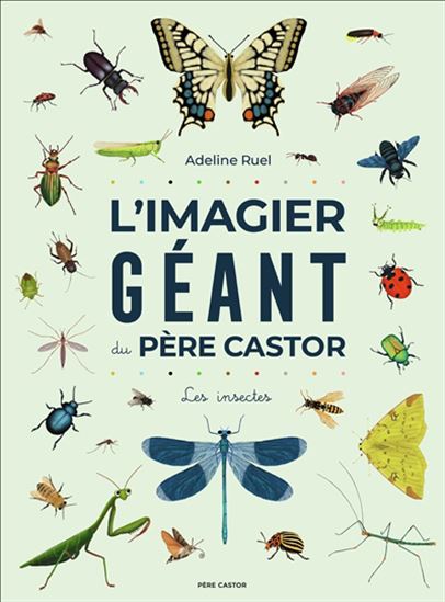 L&#39;Imagier géant du Père Castor : les insectes - ADELINE RUEL