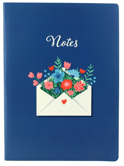 Grand cahier ligné Enveloppe