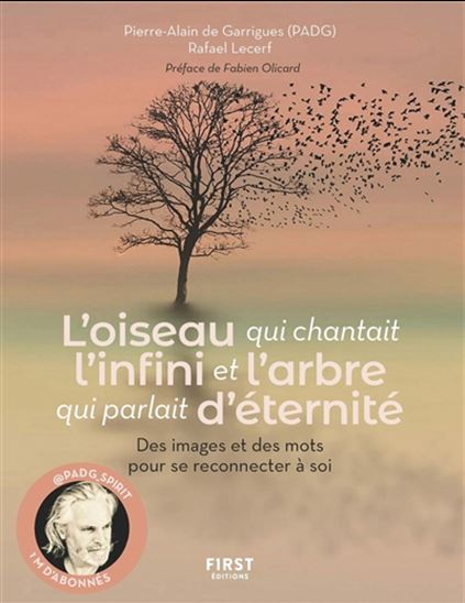 L'Oiseau qui chantait l'infini et l'arbre qui parlait d'éternité - PIERRE-ALAIN DE GUARRIGUES - RAFAËL LECERF