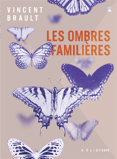 Les Ombres familières - VINCENT BRAULT