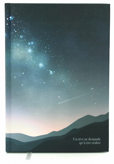 Journal ligné - Un rêve ne demande... 160p