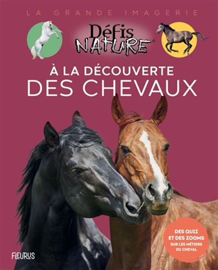 À la découverte des chevaux - CLAIRE NEVEUX