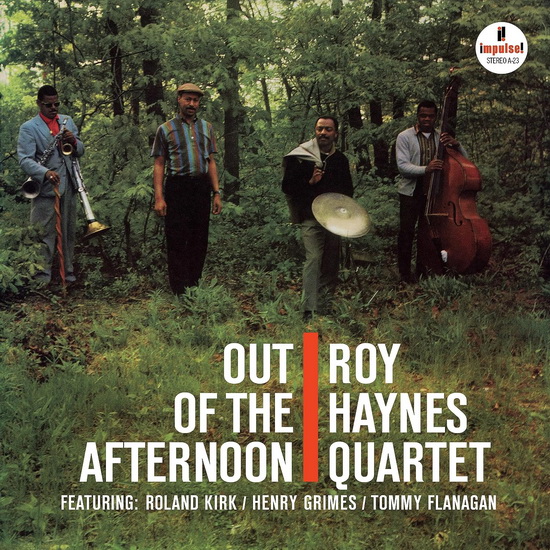 Out Of The Afternoon (Vinyle) - HAYNES ROY