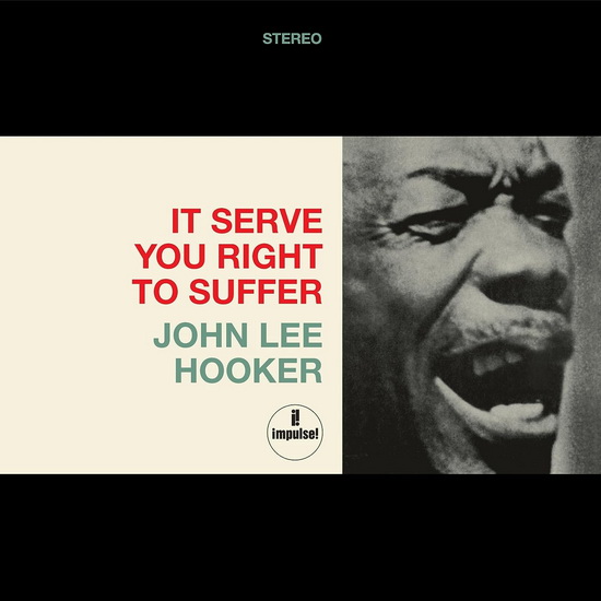 It Serves You Right To Suffer (Vinyle) - JOHN LEE HOOKER