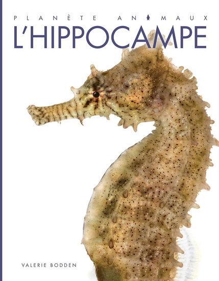 L&#39;Hippocampe - VALERIE BODDEN