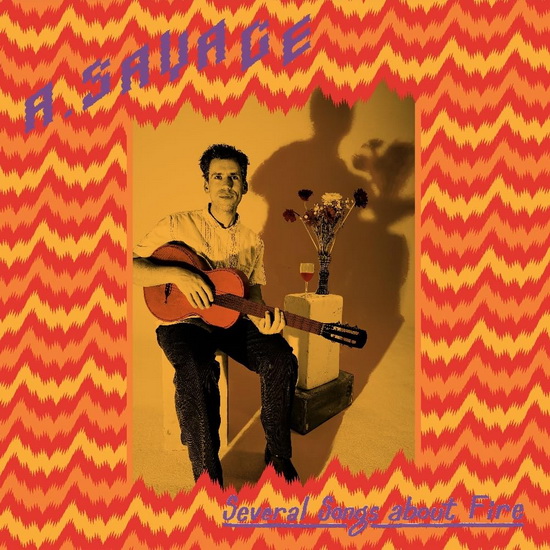 Several Songs About Fire (Andrew Savage Parquet Courts)(Vinyle) - ANDREW SAVAGE