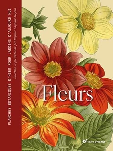 Fleurs : planches botaniques d'hier pour jardins d'aujourd'hui - BRIGITTE LAPOUGE-DÉJEAN