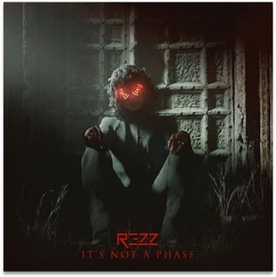 It's Not A Phase (Vinyle) - REZZ