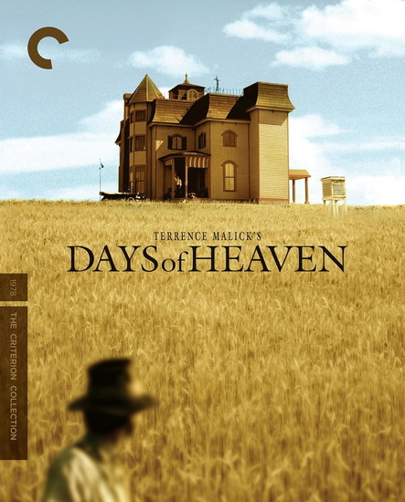 Days of Heaven (Criterion) (4K + Blu-ray) - TERRENCE MALICK