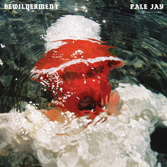 Bewilderment (Vinyle) - PALE JAY