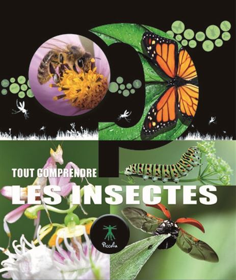 Les Insectes - COLLECTIF