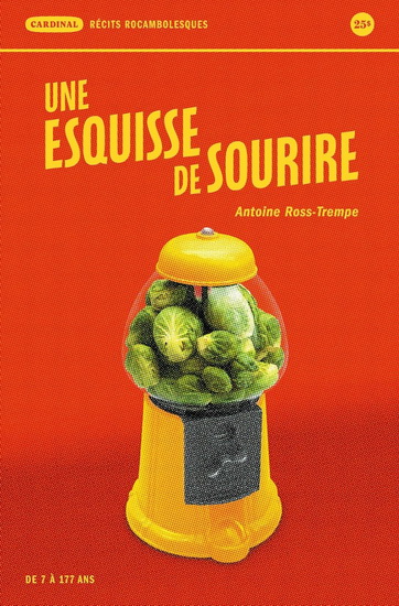 Une esquisse de sourire : récits rocambolesques - ANTOINE ROSS TREMPE
