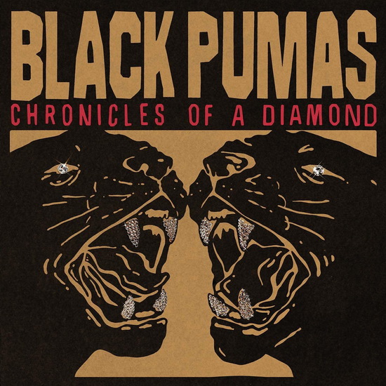 Chronicles of a Diamond - BLACK PUMAS