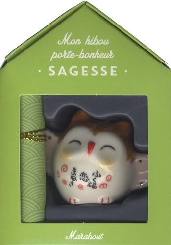 Mini box animal totem : hibou Cof. - COLLECTIF