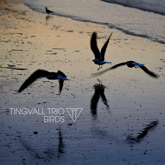 Birds - TINGVALL TRIO