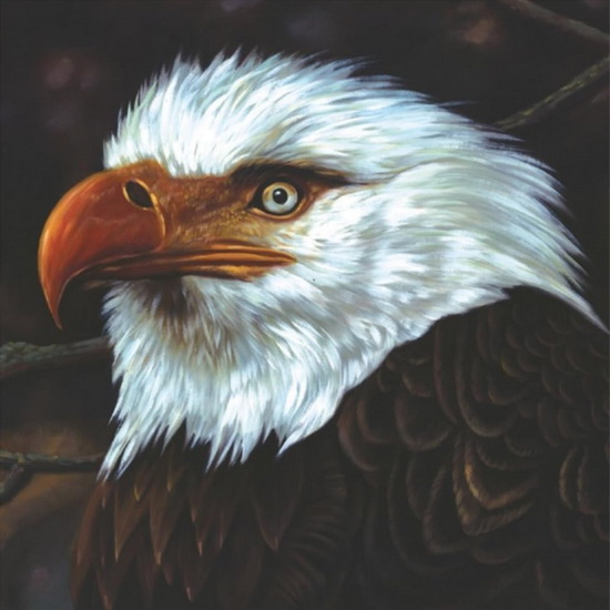 The Hawk Is Howling (2 Vinyle - Blanc) - MOGWAI