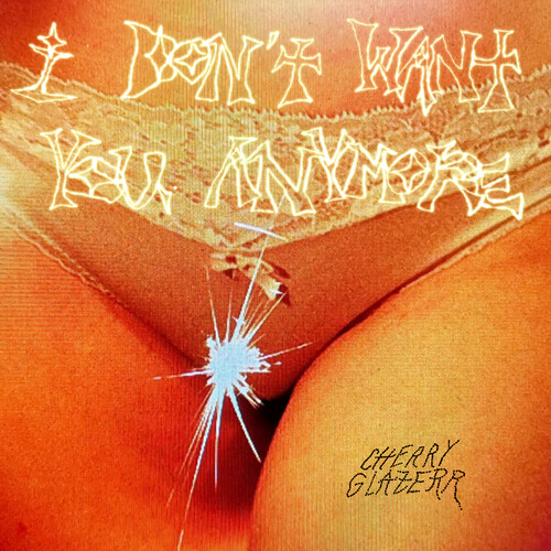 I Don't Want You Anymore (Vinyle) - CHERRY GLAZERR