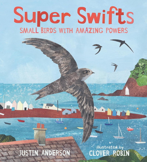 Super Swifts: Small Birds with Amazing Powers - JUSTIN ANDERSON - CLOVER ROBIN