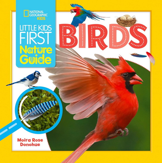 Little Kids First Nature Guide Birds - MOIRA ROSE DONOHUE