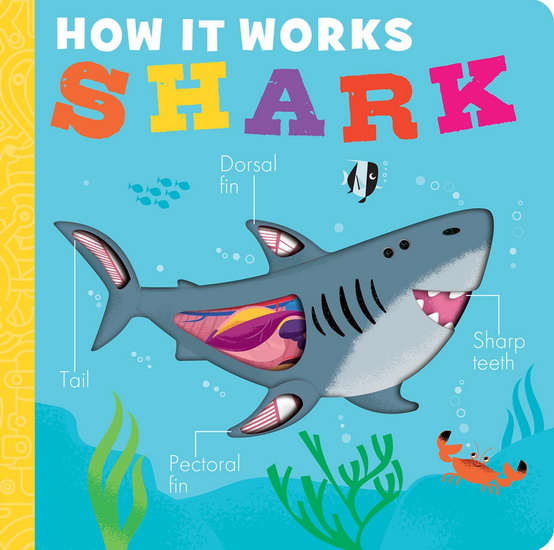 How It Works: Shark - MOLLY LITTLEBOY - DAVID SEMPLE