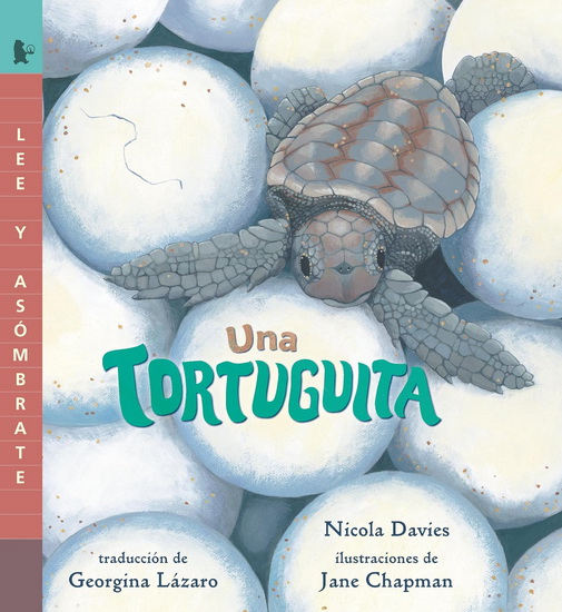 Una tortuguita - NICOLA DAVIES - JANE CHAPMAN